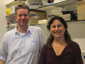 Hoogenraad en Akhmanova