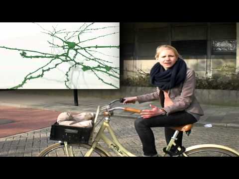 Actief transport in zenuwcellen - filmwedstrijd NWO Bessensap 2013