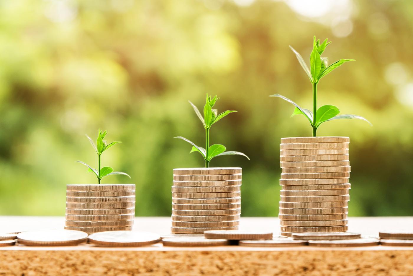groeifonds geld pixabay